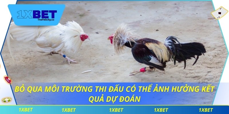 Bỏ qua môi trường thi đấu có thể ảnh hưởng kết quả dự đoán