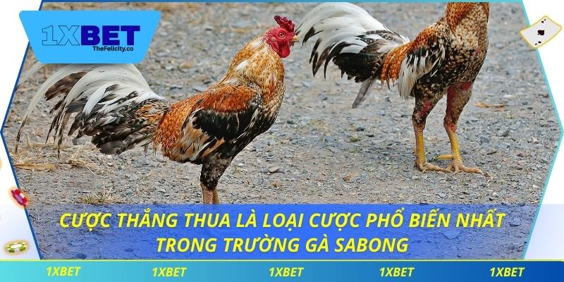 Trường Gà Sabong - Kết Nối Người Chơi Với Trận Đấu Trực Tiếp Cược thắng thua là loại cược phổ biến nhất trong trường gà sabong