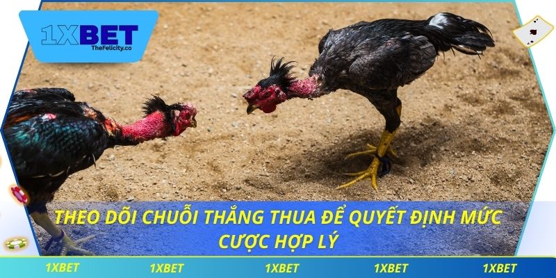 Hiểu Luật Đá Gà Để Đặt Cược Thông Minh Và Linh Hoạt Theo dõi chuỗi thắng thua để quyết định mức cược hợp lý