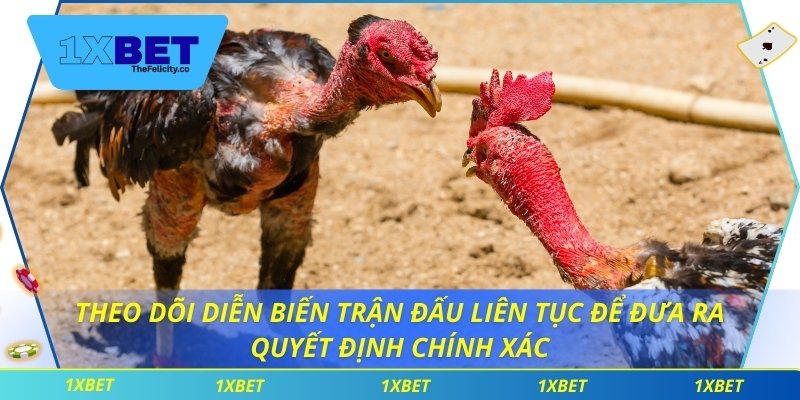 Hiểu Luật Đá Gà Để Đặt Cược Thông Minh Và Linh Hoạt Theo dõi diễn biến trận đấu liên tục để đưa ra quyết định chính xác